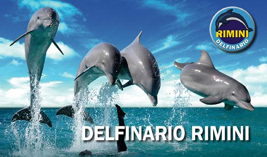 hotelcorallomisano it dove-siamo-hotel-misano 051